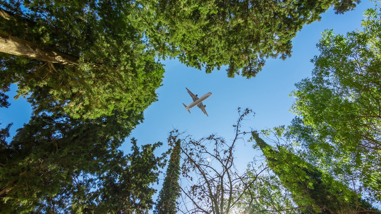 Photo of plane in sky through trees